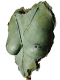 scarpellini_tette