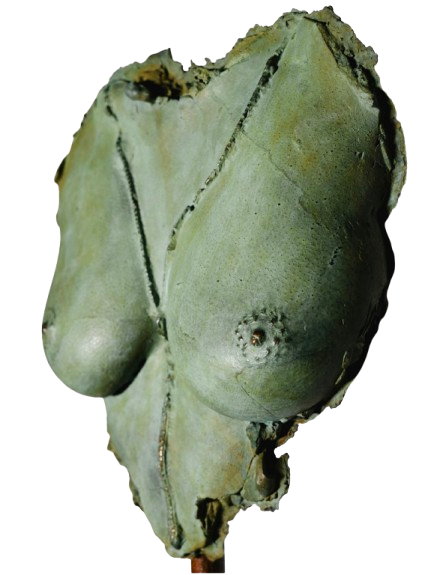 scarpellini_tette
