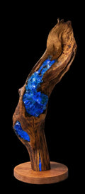 orlando_echinoidea