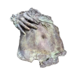 scarpellini_solletico