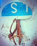geppetta_esse
