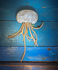 geppetta_jelly
