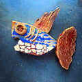 geppetta_squalopietra